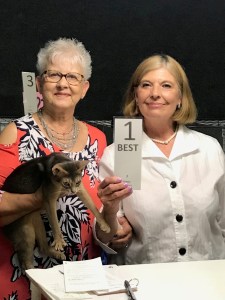 Baby getting first place AllBreed from Pam Barrett