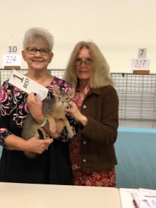 First place All Breed from Judge Linda Jean Grillo