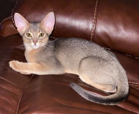 GrapeArbor Got Her Blu Jeans On