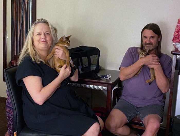 New family for Stella and Zoe