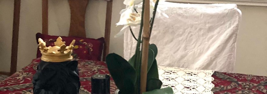 Our special tribute area for Jack, including the lion and orchid from Jim Kane and Thom Birkenstock, and bottle of Gentleman Jack whiskey.