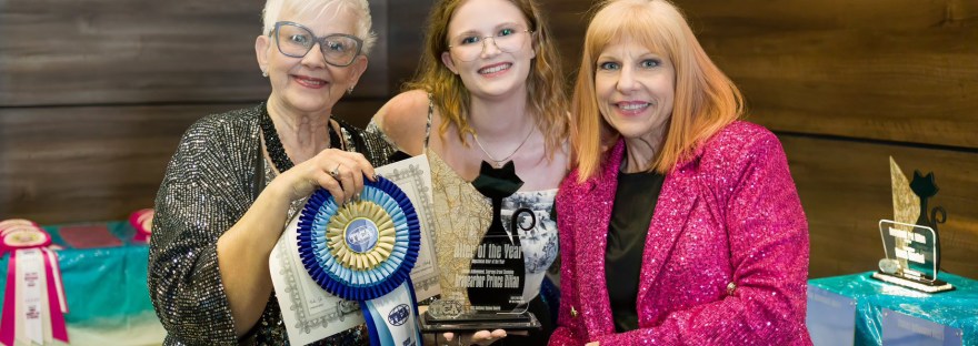 SUE PAYTON LAURIE AWARDS